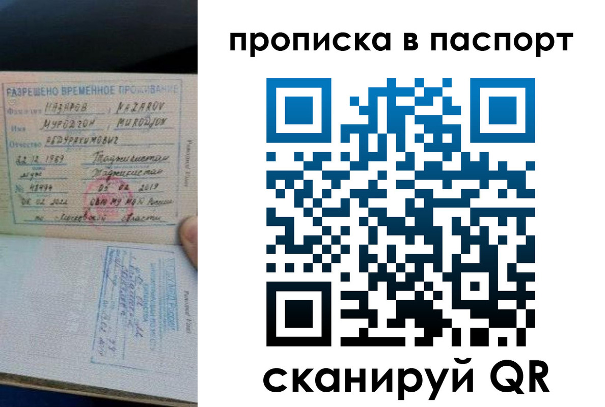 прописка 2025 в Кольчугино